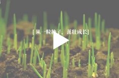 【视频】聚力十年，创新未来！青岛聚创环保集团有限公司十周年快乐！