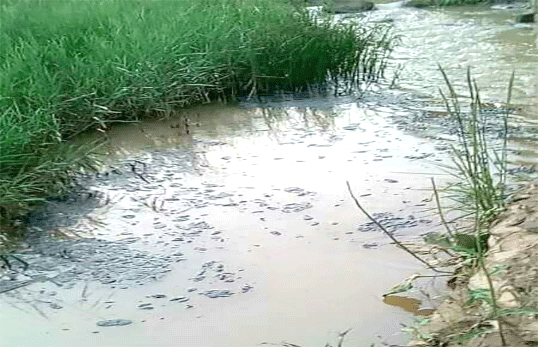 水中油类污染